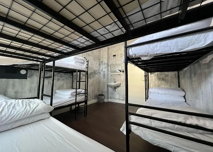 Amigo Амстердам